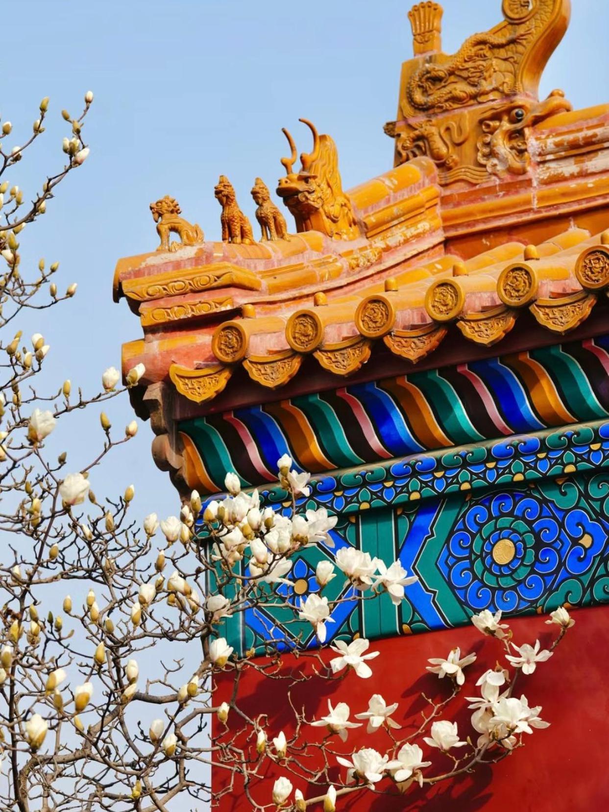Happy Dragon Courtyard- Newly Renovated With French Windows, Near Tian'Anmen Forbidden City,Lama Temple And Heaven Temple, 3Minutes Walk From Subway,Fluent English Speaking With Tourist Sights Tickets Service ,Free Coffee &Laundry Service Beijing Exterior photo